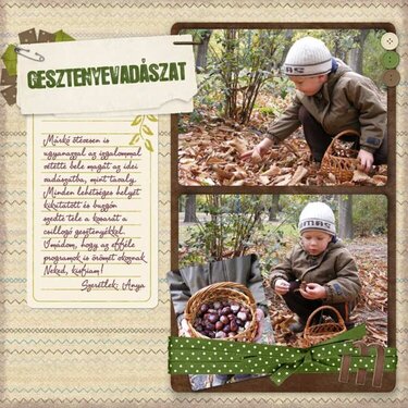 Chestnut Hunting