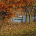 fall bench