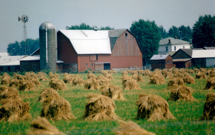 Amish Farm