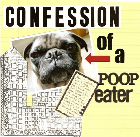 Confession of a Poop Eater