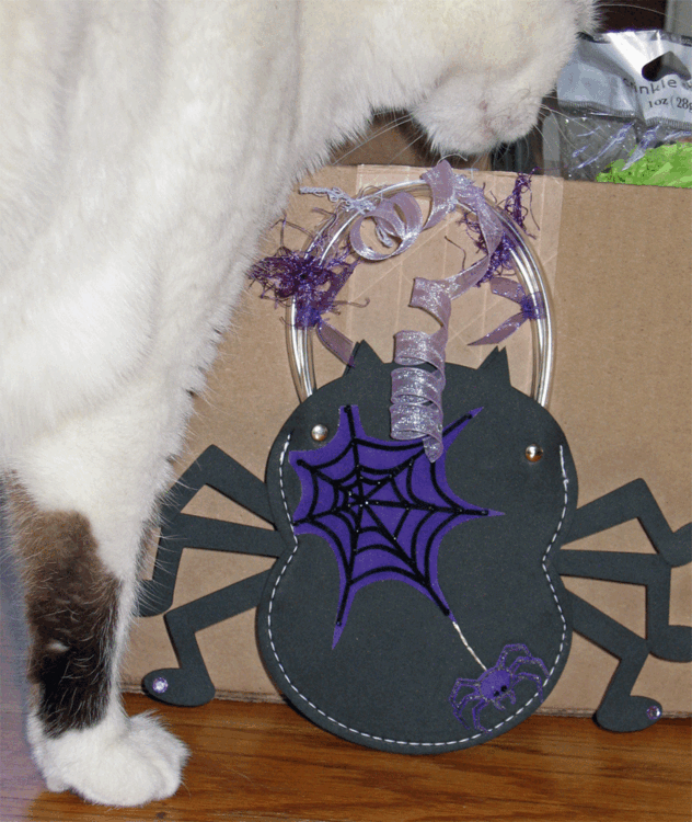 Foam Spider Bag (and Luci, my cat, Lol)