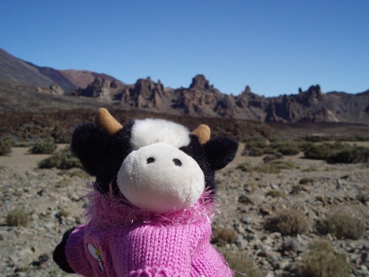 2007 Febrero - Camino al Teide