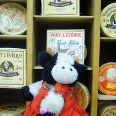 2007 Marzo - Muuumi fromage