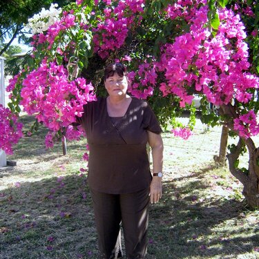 Me standing under a boganvilla shrub in Western Queensland