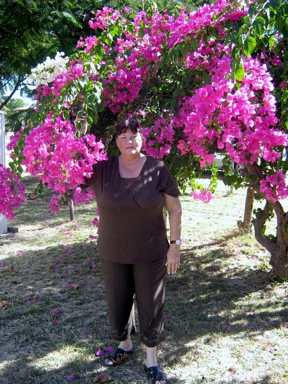 Me standing under a boganvilla shrub in Western Queensland