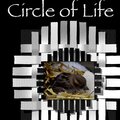 Circle of Life- The sparrow
