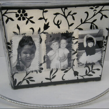 My babies..back view of purse