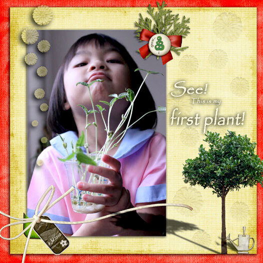 See! This is my first plant!