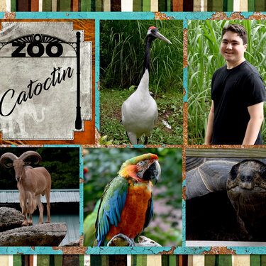 Cactoctin Zoo