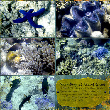 Great Barrier Reef - 13
