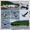 Husavik Whale Watching Cruise