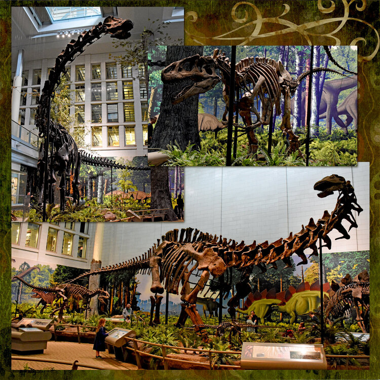 Carnegie Museum of Natural History