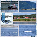 Whale Watching in Tadoussac, Quebec