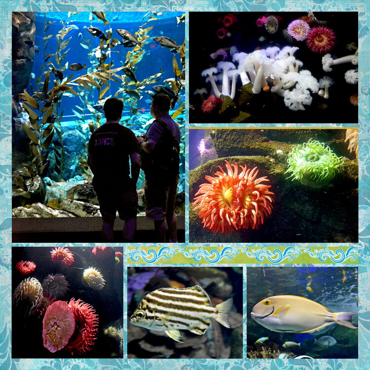 Ripley&#039;s Aquarium
