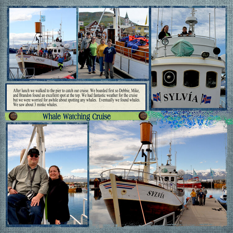Iceland Whale Watching Cruise