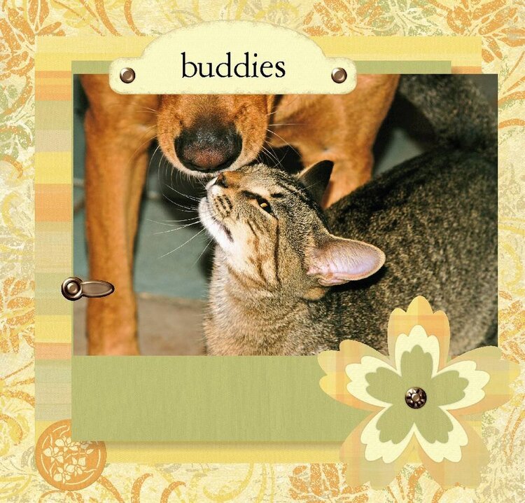 buddies