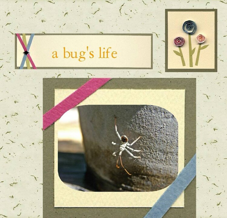 bug&#039;s life