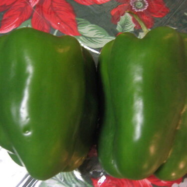 #10 Peppers