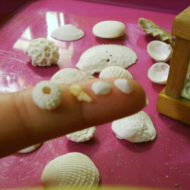 Smallest Shell
