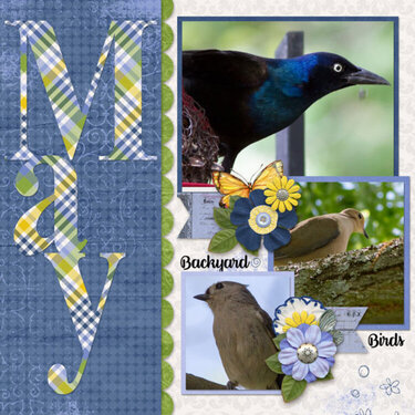 May Backyard Birds