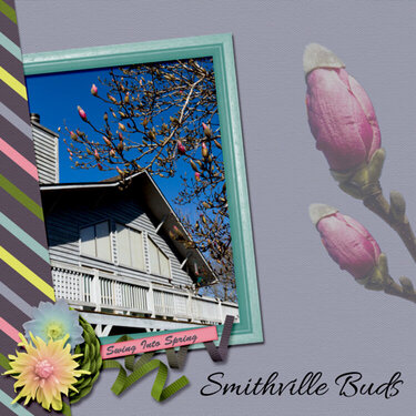Smithville Buds