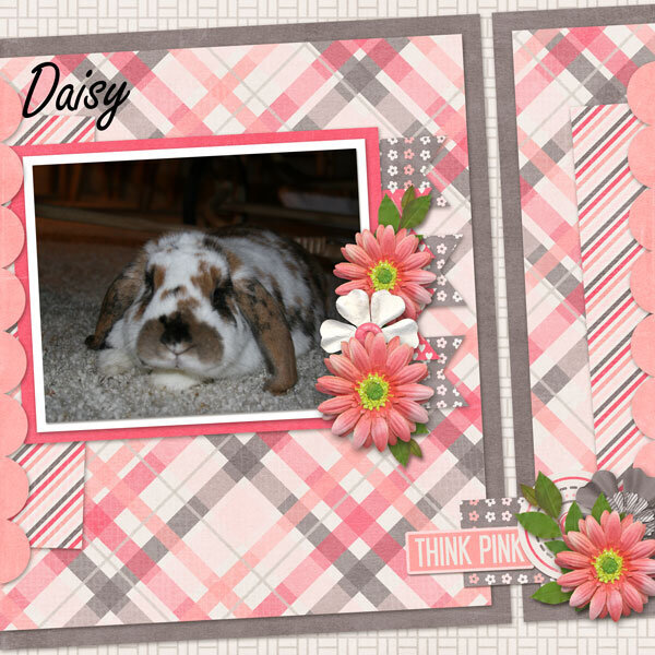 Daisy