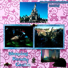 Sleeping Beauty Castle