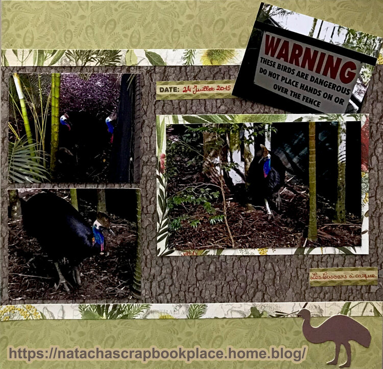 Pictures from The Australian Zoo, Australia : The Cassowaries   Open Road Collection, from Kaisercraft