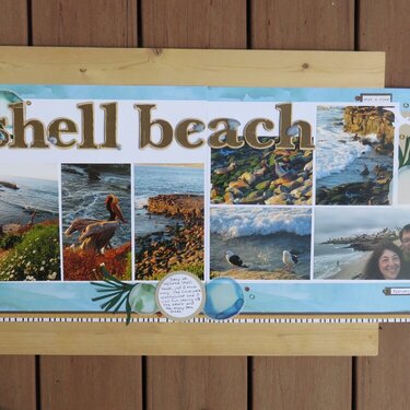 Shell Beach