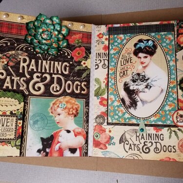 Raining Cats and Dogs album page 1 & 2