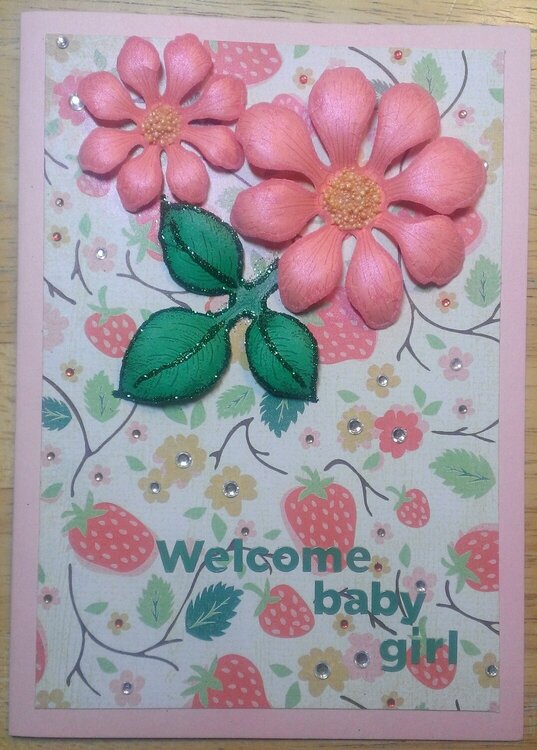 Strawberry baby card