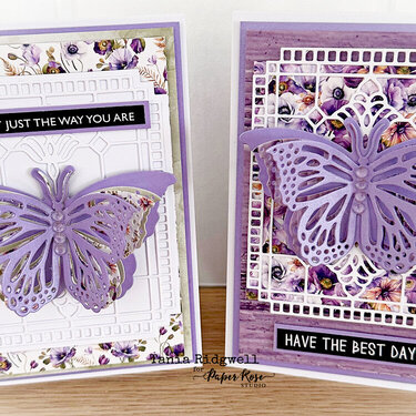 Alora Butterfly Cards
