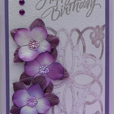 Lavender Collection - Birthday