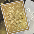 Christmas card with poinsettia