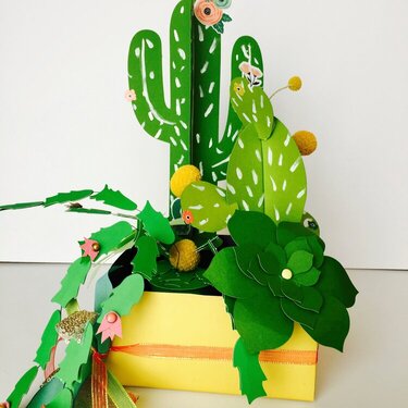 Paper cactus garden