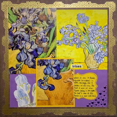 Van Gogh Irises