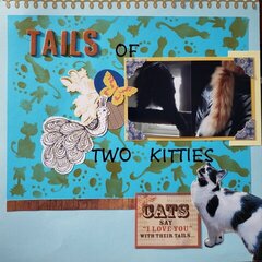 It's a Tails of Two Kitties