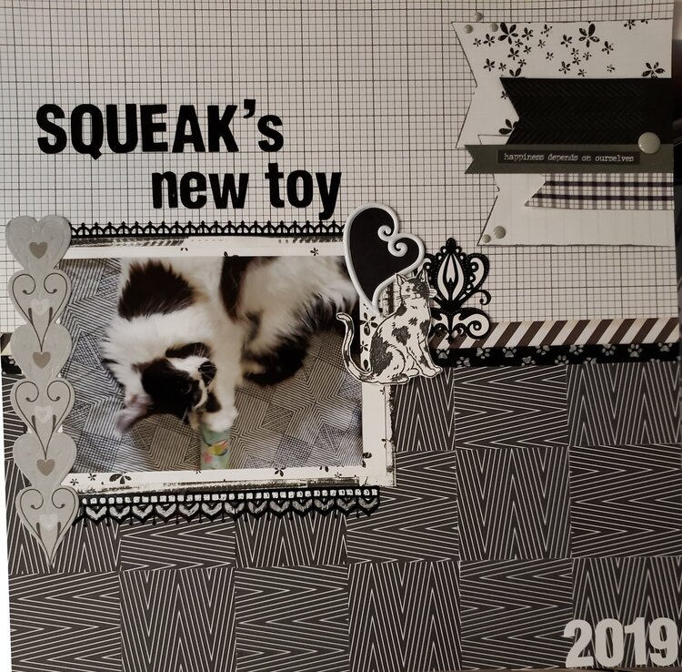 Squeak&#039;s New Toy