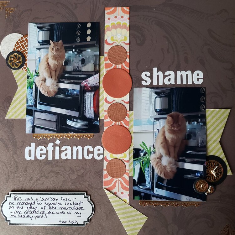 defiance  &amp; shame