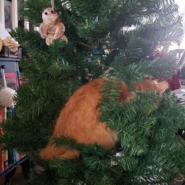 Holiday Decorating with SamSam - Cat Tree
