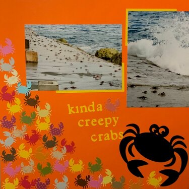 Kinda Creepy Curacao Crabs