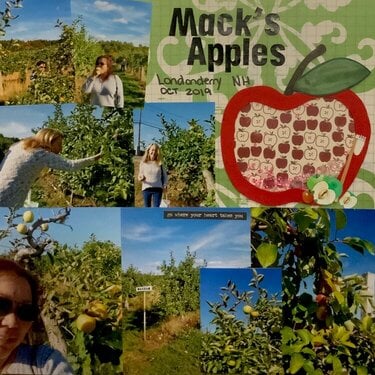 Apple Picking at Macks Apples