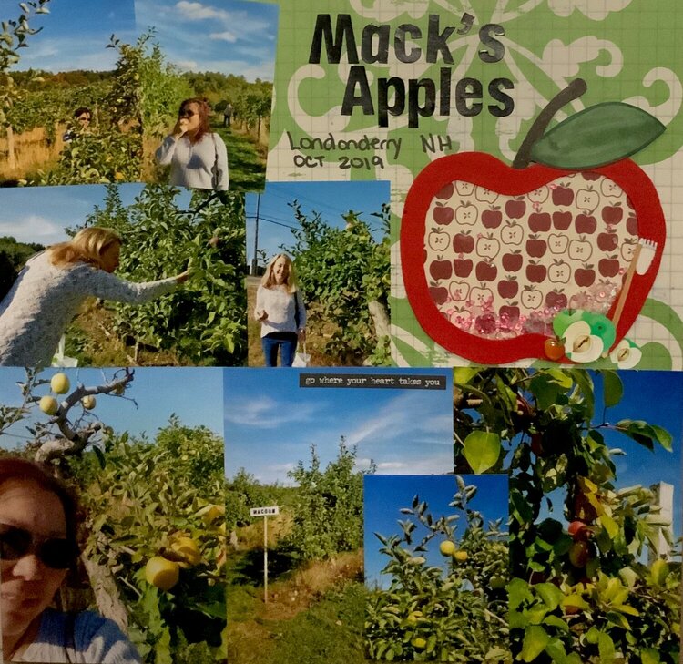 Apple Picking at Macks Apples