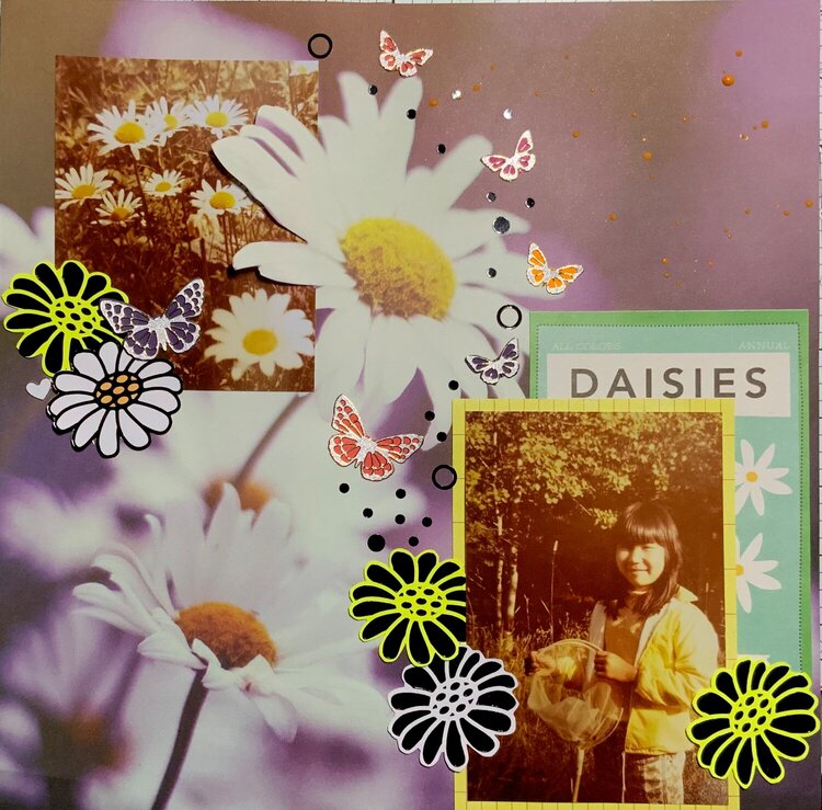 Chasing Daisies (and Butterflies)