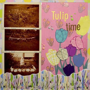 Tulip Time - Grandmas Tulips 1963