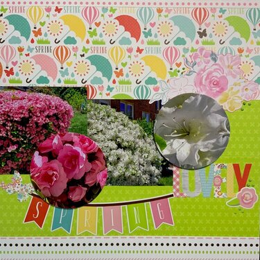 Lovely Spring - 2022