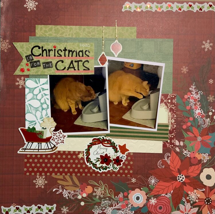 Christmas is for the Cats
