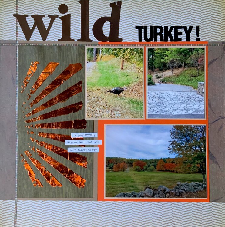 Wild Turkey!