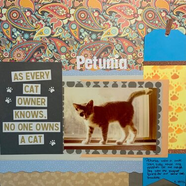Petunia (c.1972)
