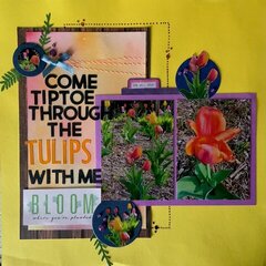 Tiptoe Through the Tulips